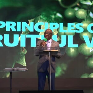 Principles of a Fruitful Vine.