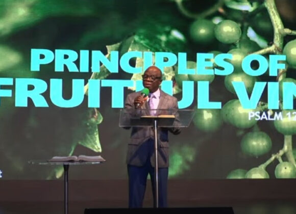 Principles of a Fruitful Vine.