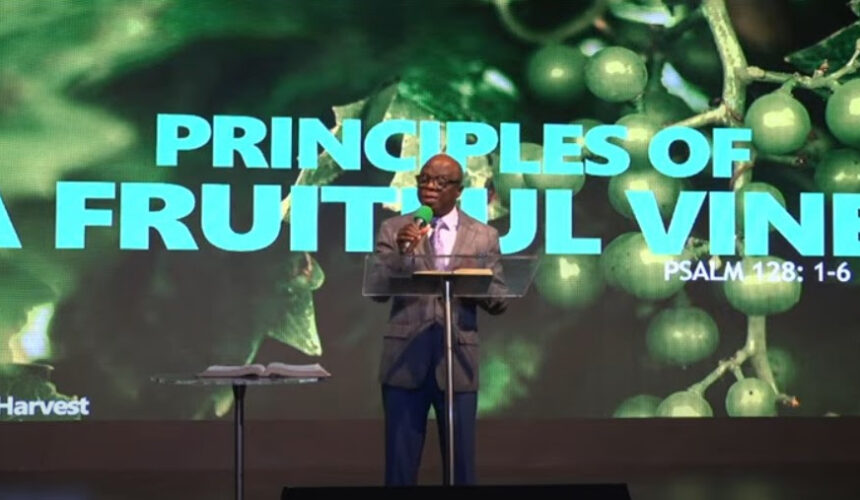 Principles of a Fruitful Vine.