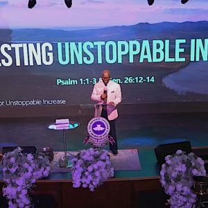 Manifesting Unstoppable Increase.
